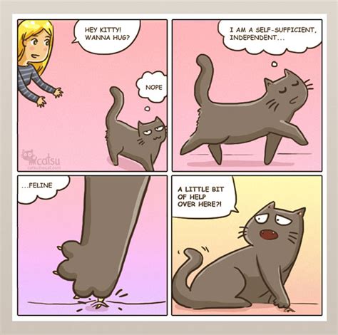 They come in various shapes and sizes, they're even liquid! 15 Comics Show Why It's Never Boring To Live With A Cat