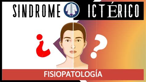 FisiopatologÍa De La Ictericia Explicado Dr Jr Youtube