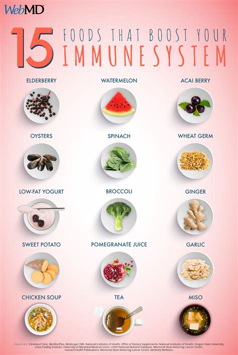 Top 10 Immunity Boosting Foods For Adults 24 Mantra Organic