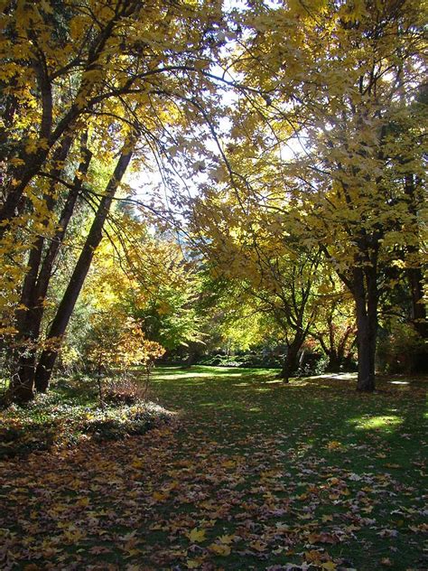 Lithia Park Ashland Fall Colors Photograph By John Loyd Rushing Fine