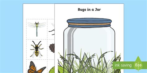 Bugs In A Jar Counting Resource Ks1 Primary Resource