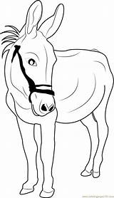 Donkey Coloring Looking Printable Coloringpages101 Marvelous sketch template
