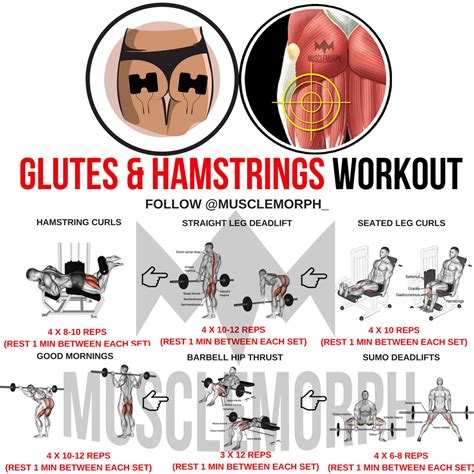 Glutes Hamstrings Workout Gym Exercise Muscle Musclemorph