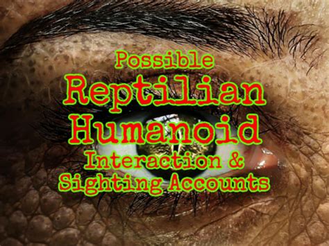 possible reptilian humanoid interaction and sighting accounts alien encounters interactive
