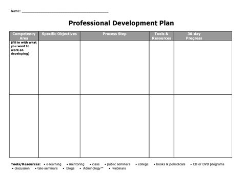 Professional Development Plan Template Word
