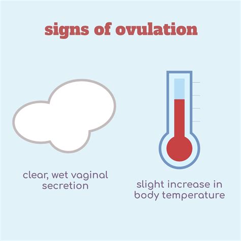 Ovathemoon — Signs Of Ovulation Two Main Signs Of Ovulation Are