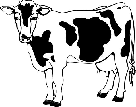 Cow Clipart Coloring Page