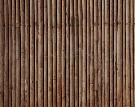 Dry Bamboo Texture Stock Image Image Of Leaf Material 160252603