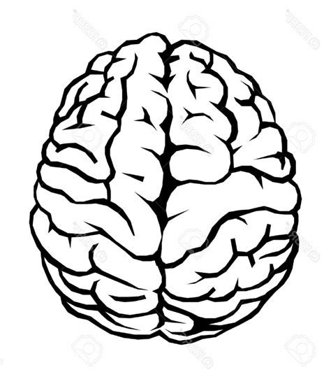 Simple Brain Drawing Free Download On Clipartmag