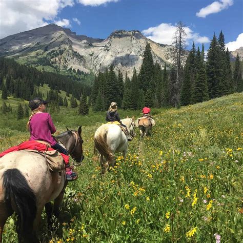 How To Find The Best Horseback Riding In Jackson Hole Shoal Creek