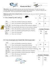 Check spelling or type a new query. Monohybrid Mice Answer Sheet + mvphip Answer Key
