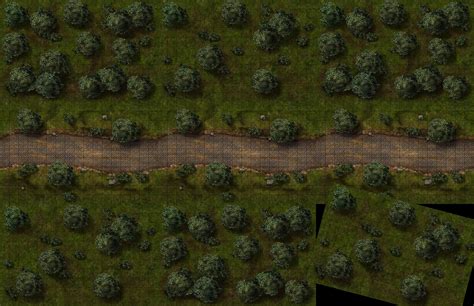 Maphammer Patreon Fantasy Map Forest Map Dandd