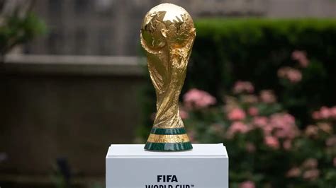 fifa world cup final 2022 live streaming free how to watch the live matches online on mobile