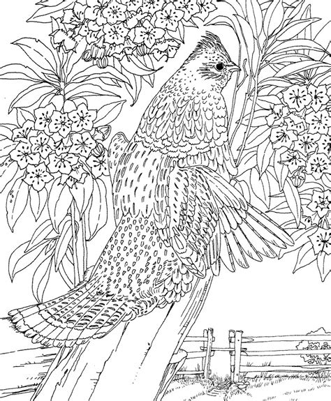 Get This Difficult Adult Coloring Pages To Print Out 67341