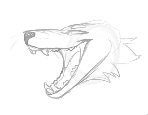 How To Draw A Wolf Mouth