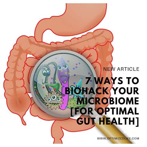 Do You Have Bloating Gas Or Stomach Pains Are You Struggling To Lose