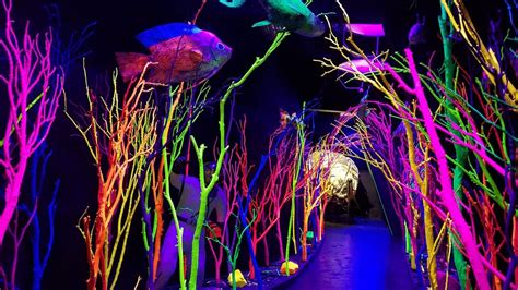 Meow Wolf Everything You Need To Know About The Art Collectives