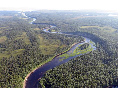 Wwf And Mondi Towards Sustainable Forestry In Russias