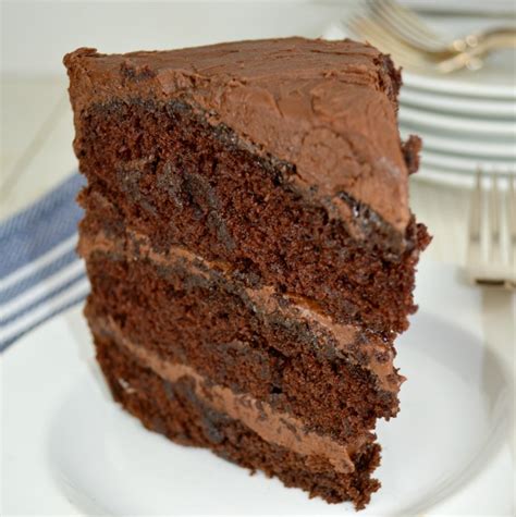Triple Layer Chocolate Cake Gonna Want Seconds