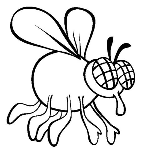 Pin On Fly Coloring Pages