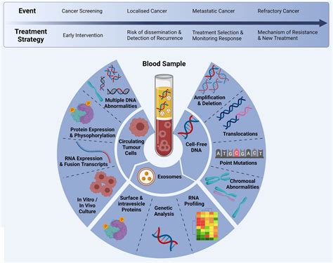 Frontiers The Role Of Circulating Biomarkers In Lung Cancer