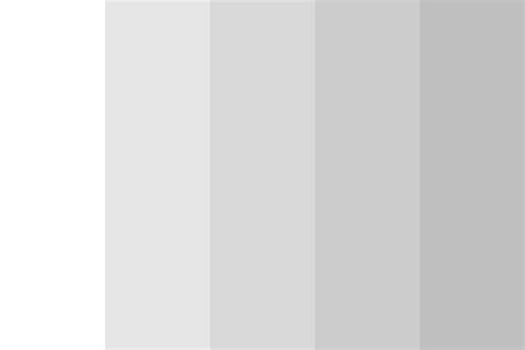 Achromatic White Light Grey Color Palette