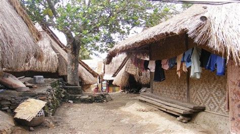 Sade Traditional Sasak Village Famous Lombok Tourism Indonesia Rumah