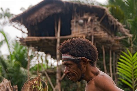 About Korowai Tribe Tree Houses In Papua New Guinea And Indonesia Traditions Map And Location