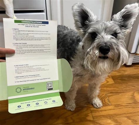 Best At Home Dog Allergy Test Kits Today — Reviews And Top Picks Canine