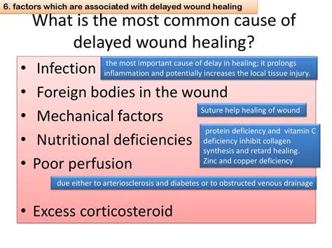 Inflammation And Repair Lecture 5 Ppt Download