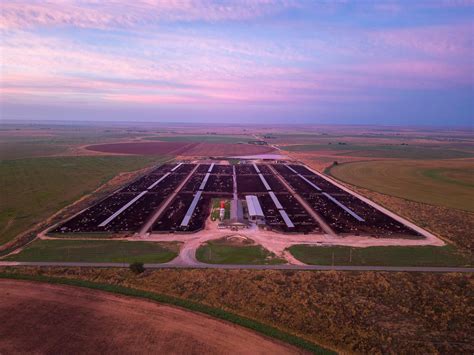 703 S. Roosevelt Road K, Portales, NM 88130 | LandWatch