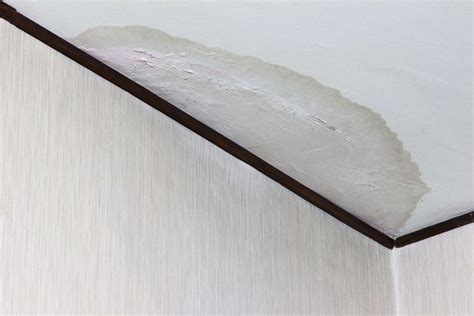 A water damaged ceiling is perhaps the most dangerous effect that a water disaster can have on your home. Water Damage Ceilings (What to Do and Who to Call) in 2020