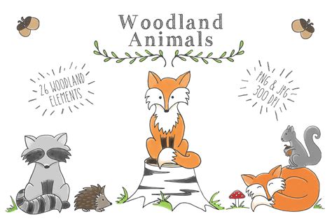 Woodland Animal Clipart Set