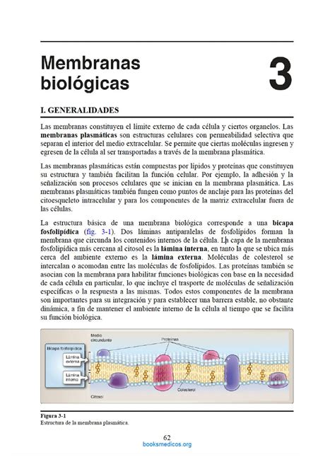 Membranas Biologicas Membranas Biológicas I Generalidades Las
