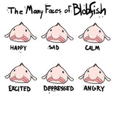 See more ideas about blobfish, fish, cute animals. Blobfish cake | cakes | Pinterest | Blobfish and Cakes