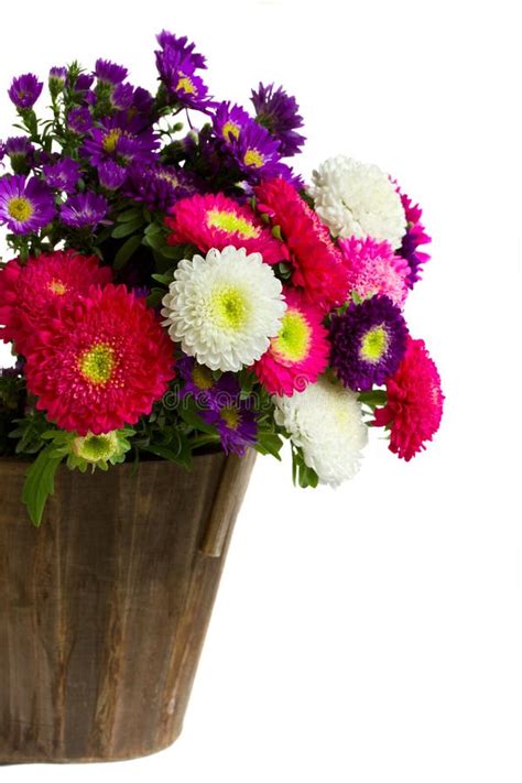 Bouquet Daster Et De Momies Dans Le Vase Image Stock Image Du
