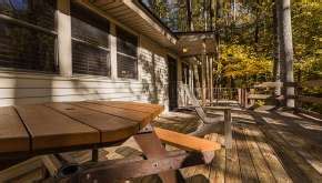 Shelby forest is an unincorporated community in shelby county, tennessee, united states. Meeman-Shelby Forest State Park Cabins — Tennessee State Parks