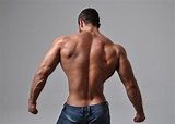 A Back Workout Program - How to Build a More Powerful Muscular Back