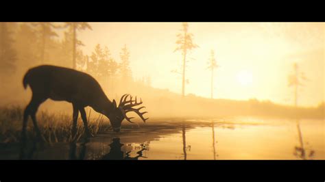 34 Hd Wallpaper Of Red Dead Redemption 2