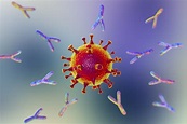 Antikörper gegen SARS-CoV-2 | Arbeitsmedizin Dr. Dr. Eva Cramer
