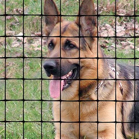 Pet Fence Boundaries And Fencing Tenax