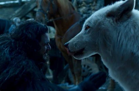 Jon Snow S Best Friend Rover Creates Sitter Profile For Tormund After He Watched Ghost On