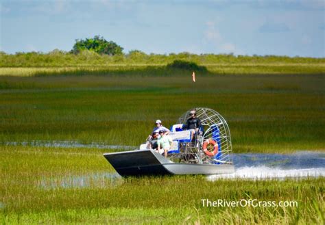 Everglades River Of Grass Adventures 333 Photos And 198 Reviews 17696