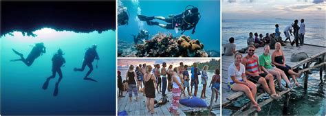 Marine Conservation Volunteering In Raja Ampat The Great Projects
