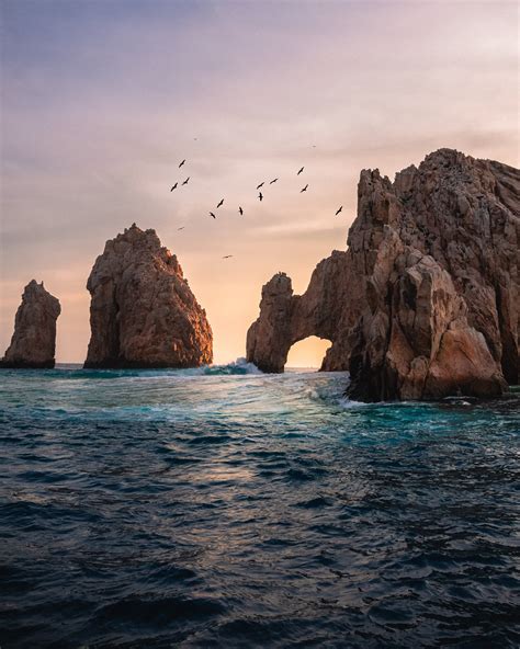 When Is The Best Time To Visit Cabo San Lucas Pure Cabo