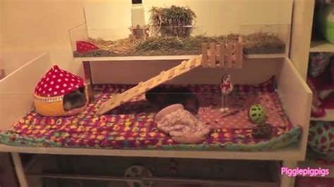 Most guinea pig owners don't realize that there is another option for a guinea pig cage that is not only cheaper but is also more comfortable overall for the when choosing a new home for your guinea pig, most people will turn towards a pet store. How to build the new Piggiepigpigs DIY Guinea Pig Cages ...