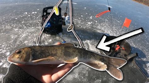 Early Ice Pike Fishing On Hidden Pond Fish Crusade