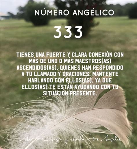 Número Angélico 333 Numerología Frases De Palabras Numerologia