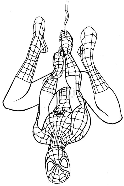 coloriage spiderman  coloriage spiderman