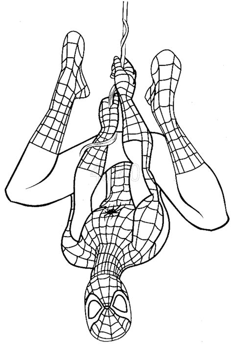 Spiderman appears for the first time in a 1962 comic book. Spiderman Coloring Pages And Dozens More Free Printable ...